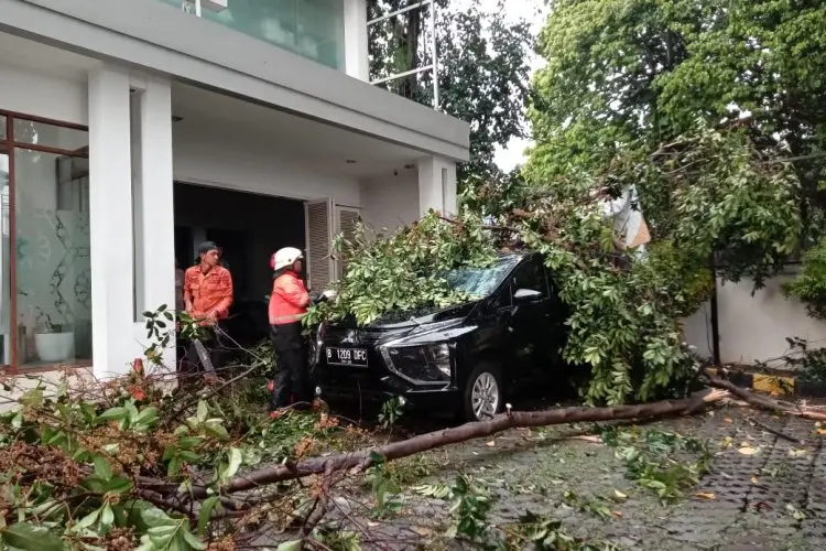 Hujan Deras dan Angin Kencang, Dua Mobil Tertimpa Pohon