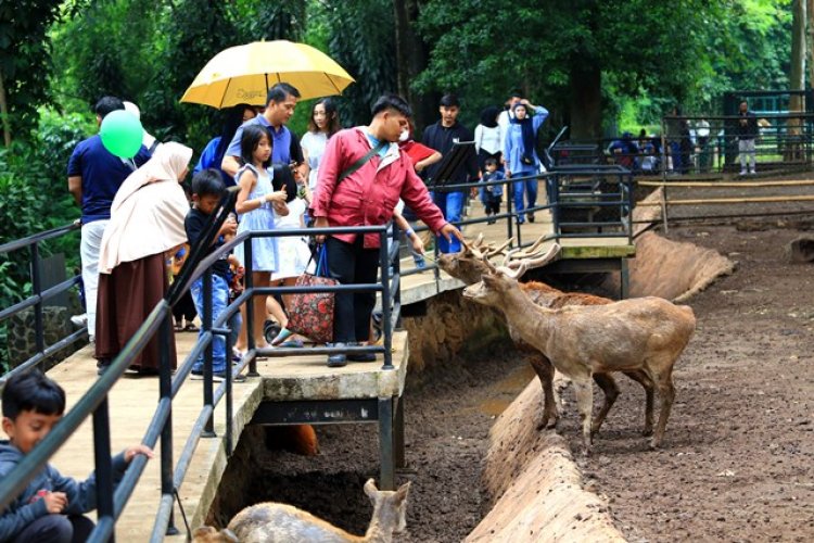 FOTO: Kunjungan Wisatawan di Bandung Zoo Saat Liburan Nataru 2023 2024