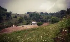 Pengelolaan RTH Masih Sempit, DLH Kota Cimahi: Baru 1 Persen