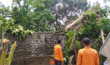 Selama 2023 1.011 Bencana Alam Terjadi Di Kota Bogor - Inilahkoran.id