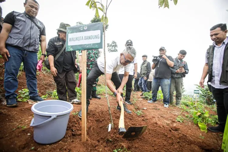 Pemkot Bandung Dukung Penuh Penghijauan Wilayah KBU