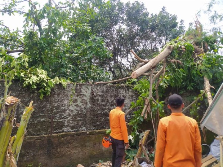 Selama 2023 1.011 Bencana Alam Terjadi di Kota Bogor