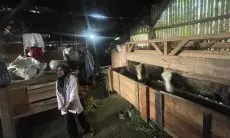 Sambangi Warga KBB yang Hidup Bersama Kambing, Pemda KBB Janjikan Hal ini