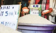 Harga Beras Terus Melambung, Bapanas: Tingginya Harga Beras Bukan Lantaran Pemilu