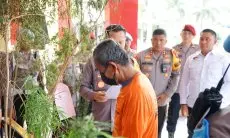 Tanam 20 Pohon Ganja Pria Paruh Baya Warga Majalaya Diciduk Polisi