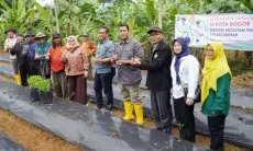 TPID Kota Bogor Gulirkan Gerakan Tanam Cabai untuk Kendalikan Laju Inflasi Daerah