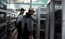 Pemkot Bandung Resmikan Program Rumah Maggot dan Rumah Kang Empos