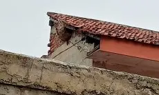 Petugas Gabungan Evakuasi Sarang Tawon, Agar Tak Ada Lagi Korban Jiwa
