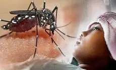 Baru Dua Bulan, 36 Warga Jabar Meninggal Dunia Akibat DBD Tahun Ini