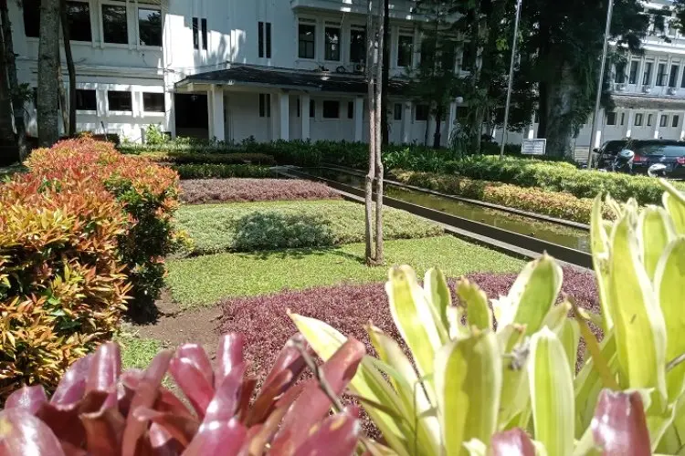 Tahun Ini, DPKP3 Kota Bandung Akan Revitalisasi Sejumlah Taman Kota