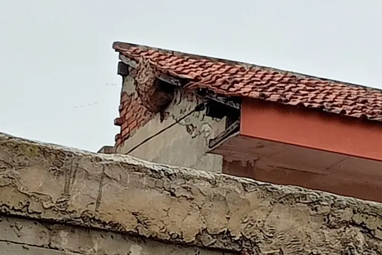 Petugas Gabungan Evakuasi Sarang Tawon, Agar Tak Ada Lagi Korban Jiwa