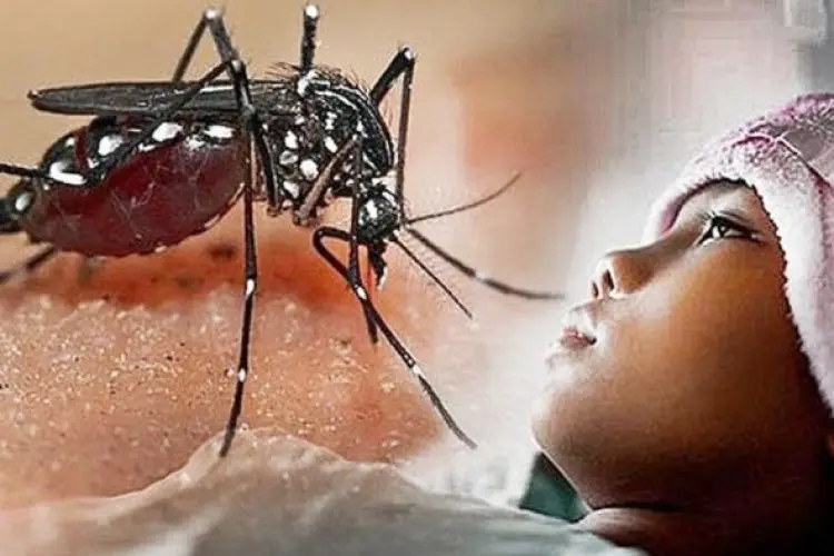 Baru Dua Bulan, 36 Warga Jabar Meninggal Dunia Akibat DBD Tahun Ini