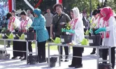 Tekan Laju Inflasi, Iriana Jokowi Tanam Bibit Pohon Cabai di Cibinong