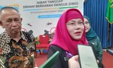 Dinkes Jabar Akui, Nyamuk Wolbachia Belum Efektif Cegah DBD