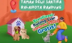 Catat Tanggal dan Syaratnya, DKPP Kota Bandung Gelar Vaksin Rabies dan Sterilisasi Kucing Liar Gratis