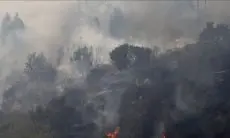 Duh Kebakaran Hutan di Taman Nasional Capai 1 KM