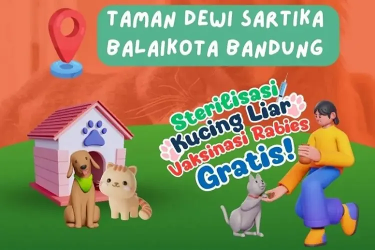 Catat Tanggal dan Syaratnya, DKPP Kota Bandung Gelar Vaksin Rabies dan Sterilisasi Kucing Liar Gratis