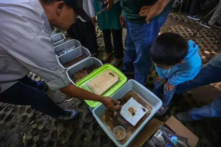 Kelurahan Rancabolang Mampu Olah Sampah Organik 2 Ton per Hari