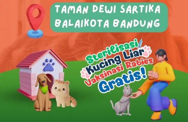 Catat Tanggal dan Syaratnya, DKPP Kota Bandung Gelar Vaksin Rabies dan Sterilisasi Kucing Liar Gratis