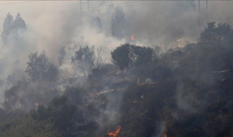 Duh Kebakaran Hutan di Taman Nasional Capai 1 KM