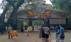 Bandung Zoo Bolehkan Warga Bawa Makanan Sebagai Tradisi Makan Bersama