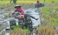 Jabar Akselerasi Perluasan Areal Tanam Sawah Tadah Hujan melalui Pompanisasi 