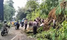 Jalur Garut-Tasikmalaya Tertutup Longsor Sudah Normal