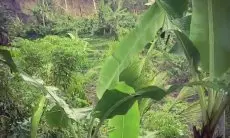 Bencana Longsor Kembali Terjadi di KBB, Jalan Penghubung Dua Desa di Gununghalu Tertimbun Material