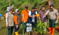 Peringati Hari Bumi, Kang Ace Tanam Ribuan Pohon di Bandung Barat