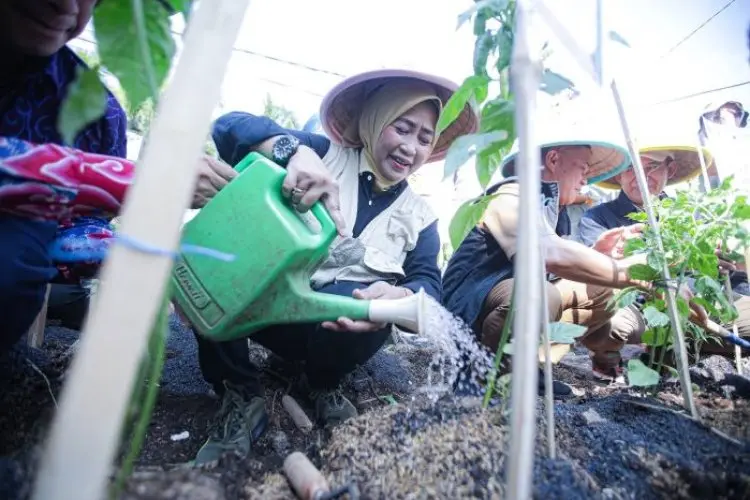 Pemkot Bandung dan BJB Tanam 16.200 Bibit Cabai Rawit dan 150 Kilogram Bawang Merah