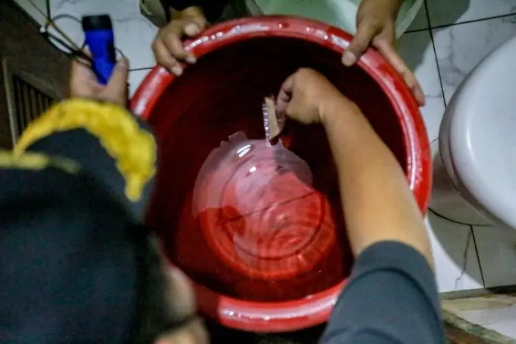 DBD Masih Tinggi, Masyarakat Diminta Lebih Peduli Lingkungan