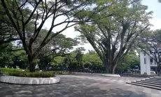 Anggota Dewan Ini, Minta Pemkot Bandung Benahi Kualitas Udara di Kota Bandung