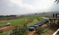 Sein Farm Permata Bandung Festival, Upaya Nyata Membangun Ketahanan Pangan di Kota Bandung