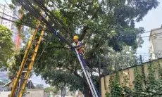 PLN Icon Plus bersama Pemkot Bandung kembali berkolaborasi melakukan penertiban kabel fiber optik 