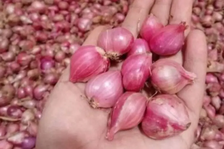 Harga Bawang Merah Mulai Turun, Pedagang Pasar Tagog Padalarang Keluhkan Daya Beli Masyarakat yang Masih Minim