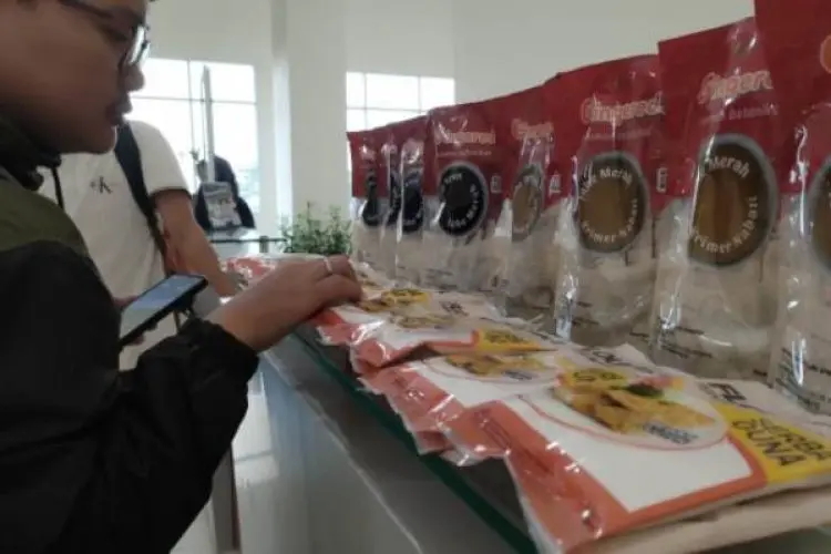 Sebagai Makanan Rendah Gula Tinggi Serat, Fits Kembali Diluncurkan ke Publik di IPB University 