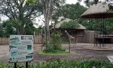 Penutupan Sementara Kebun Binatang Bandung untuk Pengamanan Aset Pemkot