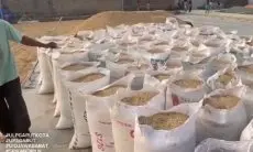 Dorong Pembangunan Ekonomi Daerah Menjelang Idul Adha, UP3 Garut Berhasil Energize Pelanggan Electrifying Agriculture