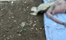 Mayat Pria Bertato Hebohkan Pengunjung Taman Lansia