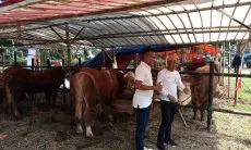 Sambut Idul Adha, Pj Wali Kota Kunjungi Bursa Hewan Qurban dan RPH Bubulak