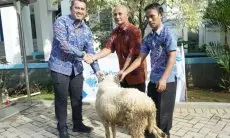79 Hewan Kurban Disalurkan Tirta Kahuripan kepada Masyarakat Kabupaten Bogor