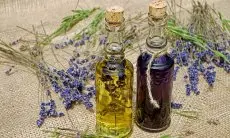 Bukan Hanya Wangi, Minyak Lavender Juga Punya Manfaat untuk Kulit