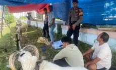 Pedagang Hewan Kurban Diminta Tertib, Pemkot Bandung Siapkan Penertiban