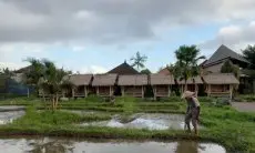 Imigrasi Denpasar Klarifikasi: Investor Asing di Bali Bukan Warga Israel