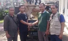 Idhul Adha 1445 Hijriyah, Donatur INH Salurkan Puluhan Ekor Sapi dan Kambing