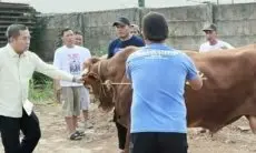 Upaya Penyaluran Hewan Kurban Merata ke Desa-desa