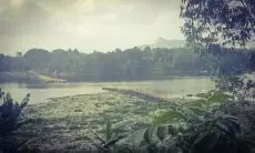 Penumpukan Sampah di Sungai Saguling Bahayakan Kontruksi, Pengelola Lepas Fleksibel Jembatan Alfian di Batujajar 