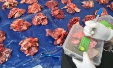 Agar Makan Daging Tak Berujung Hipertensi atau Darah Tinggi, Begini Saran Ahli Gizi IPB
