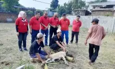 Sembelih 2 Sapi dan 11 Domba, Upaya IKADIN Bandung Perkuat Kepedulian