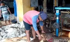 Berkah Idul Adha, Usaha Pengepul Kulit Hewan Bekasi Diserbu Masyarakat